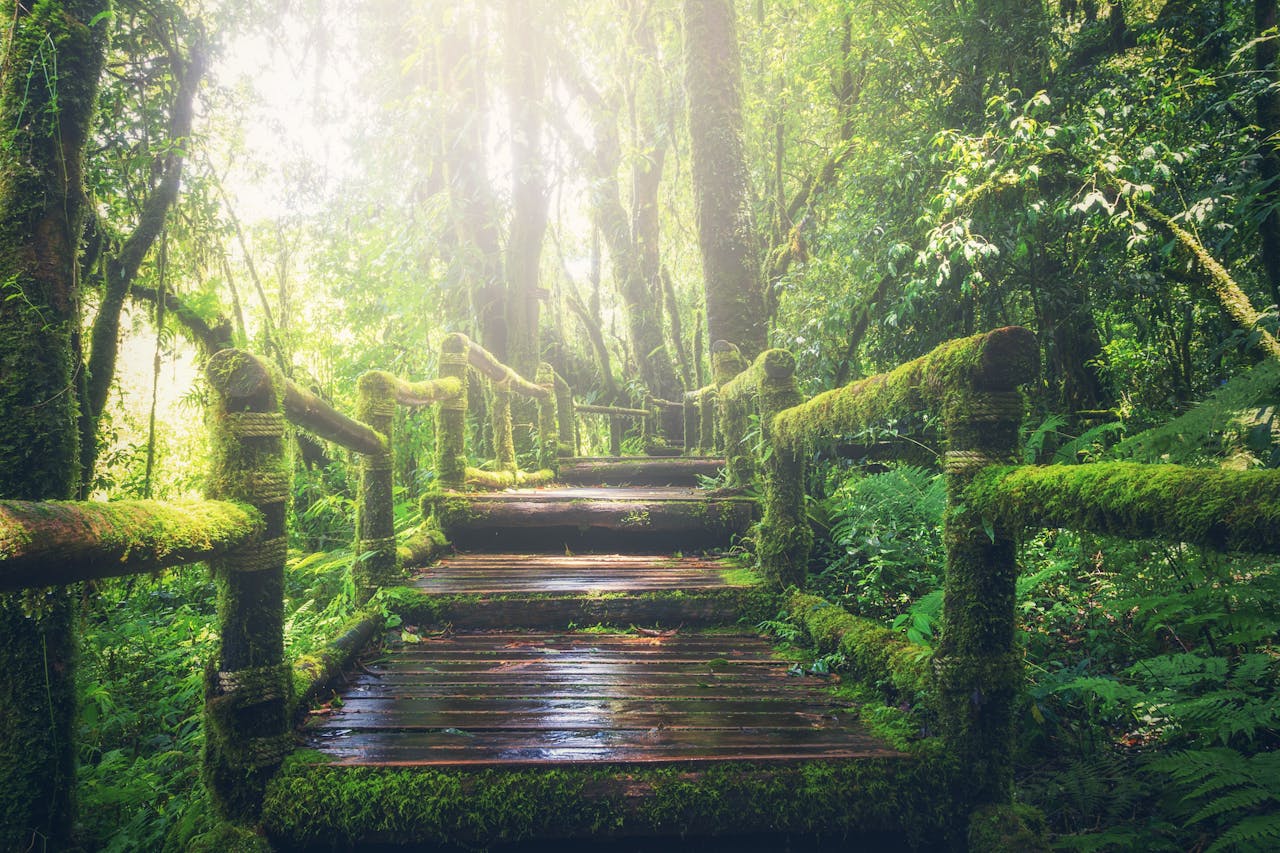 Unlocking Value: Sustainability Due Diligence As The First Steps
